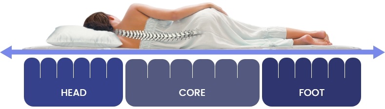 Zonal Support System